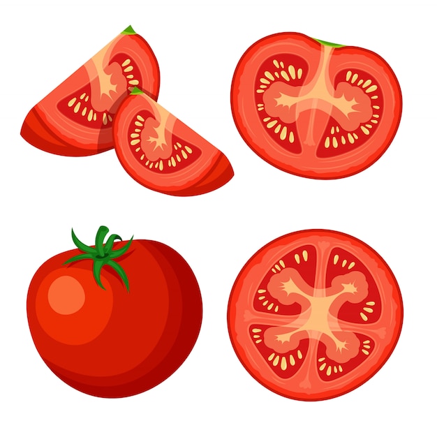 Conjunto de fresco inteiro, metade, fatia cortada e pedaço de tomate, isolado no fundo branco. Ícones vegetais de comida vegan em um estilo moderno dos desenhos animados. Conceito de comida saudável.