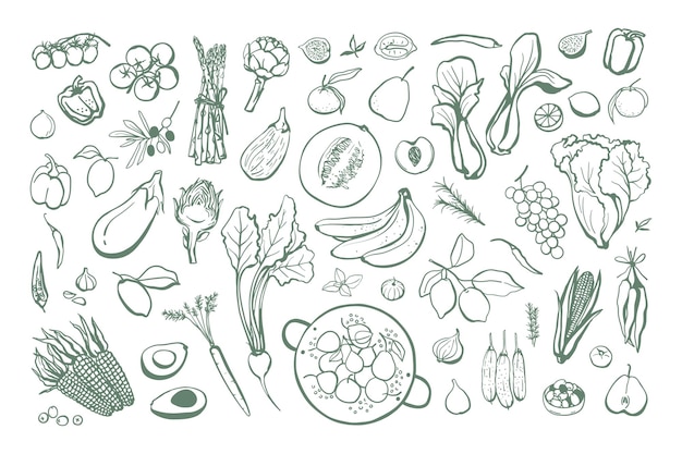 Conjunto de frutas e legumes desenhados à mão Colecção de ilustrações de esboços de comida vegana