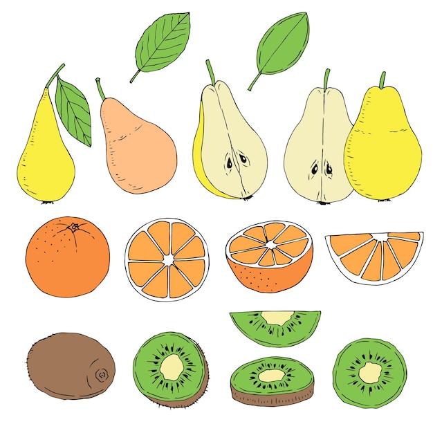 Conjunto de frutas ilustração vetorial desenho à mão esboço colorido