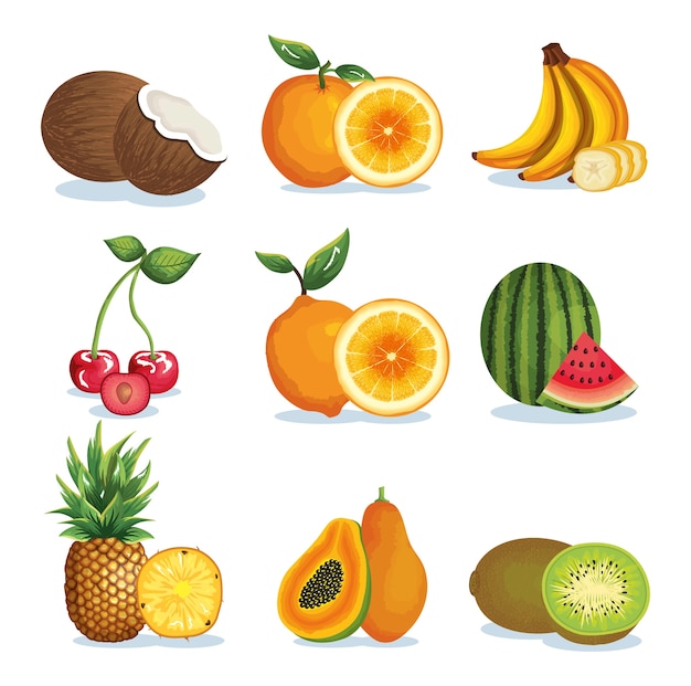 conjunto de frutas tropicais e exóticas vector design ilustração