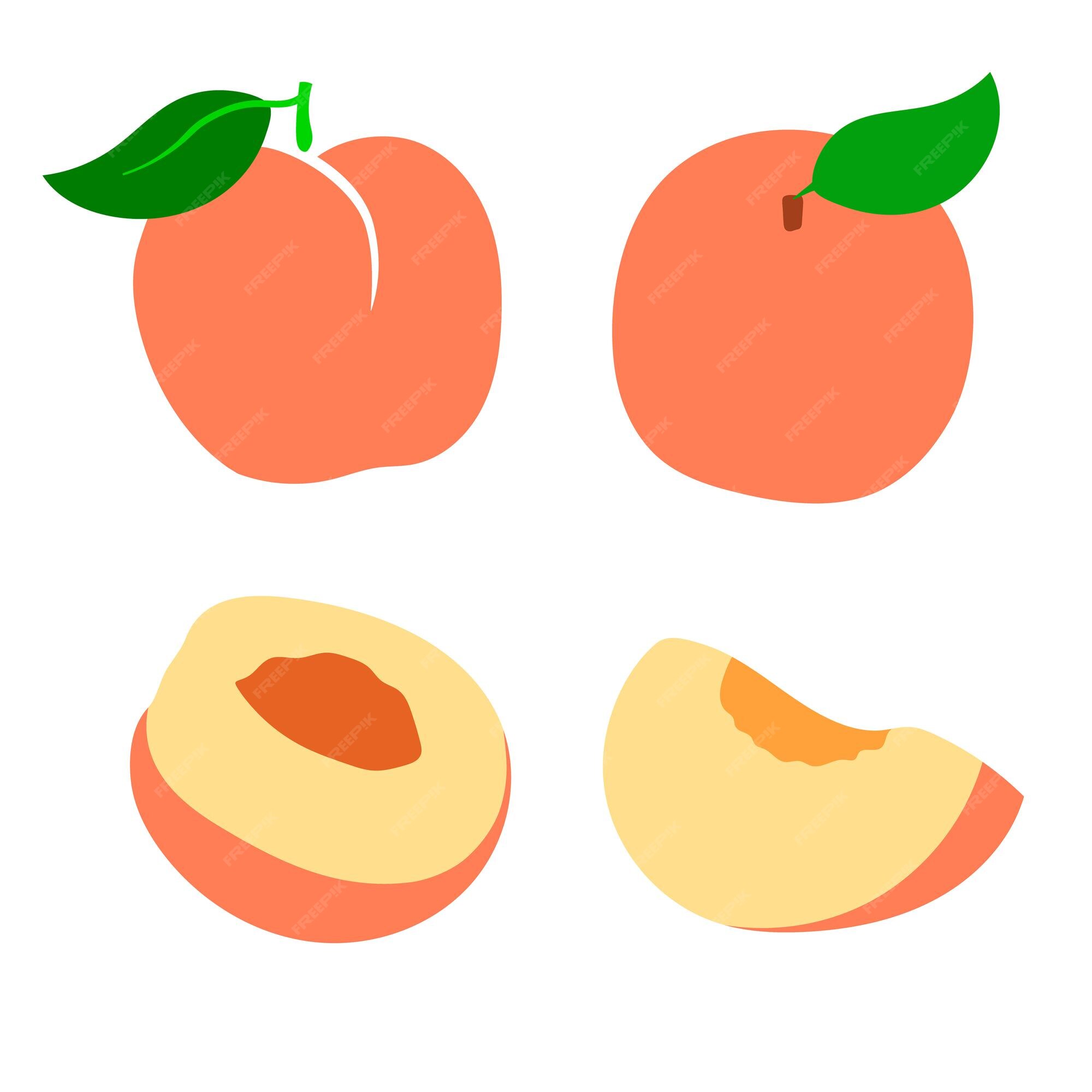 Pêssego Com Folhas. Contorno Com Ponto De Cor Laranja. Nectarina Ou Damasco.  Cartão Para Aprender a Palavra Pêssego Em Inglês Ilustração do Vetor -  Ilustração de colorido, rabisco: 276615542