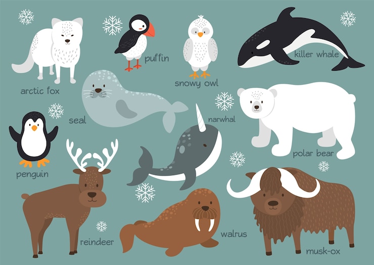 Conjunto de fundo de animais do Ártico