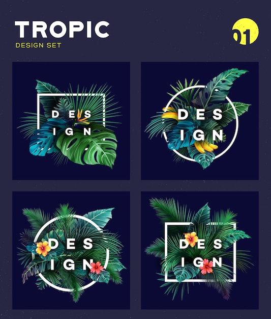 Vetor conjunto de fundo tropical brilhante com plantas da selva. padrão exótico com folhas tropicais. ilustração vetorial