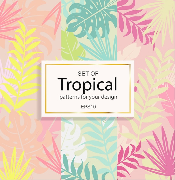 Conjunto de fundo tropical moderno para o seu design.