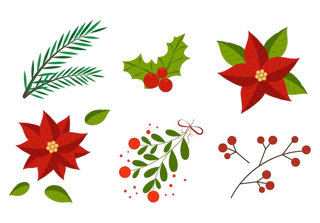 Conjunto de galhos de abeto visco e bagas de poinsettia Plantas de inverno Ramo de folhagem de Natal
