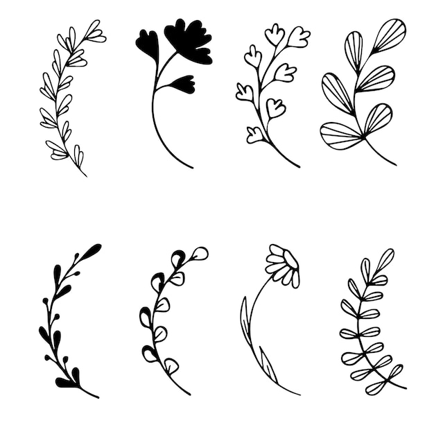 Conjunto de galhos de árvore de doodle desenhado à mão com folhas em fundo branco