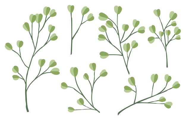 Conjunto de galhos de árvores de mão desenhada com folhas de flores botânicas floral mão desenhada estilo escandinavo arte design elemento plana ilustração vetorial.