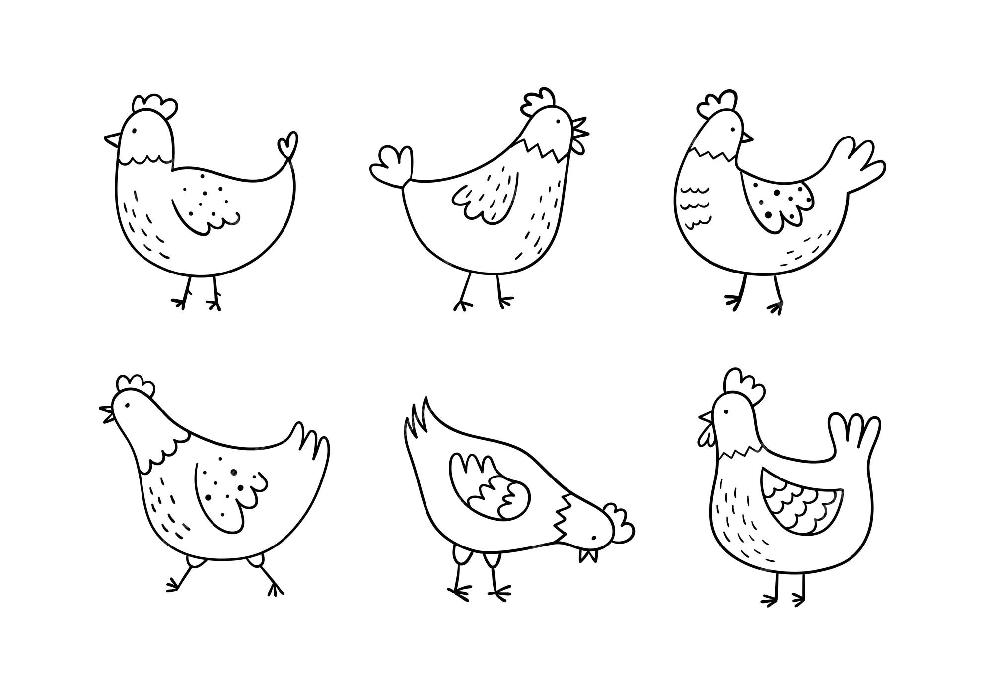 Conjunto de galinhas fofas desenhadas à mão estilo de desenho doodle  conceito de fazenda e aves domésticas engraçadas ilustração vetorial linear  simples