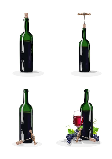 Conjunto de garrafas de vinho