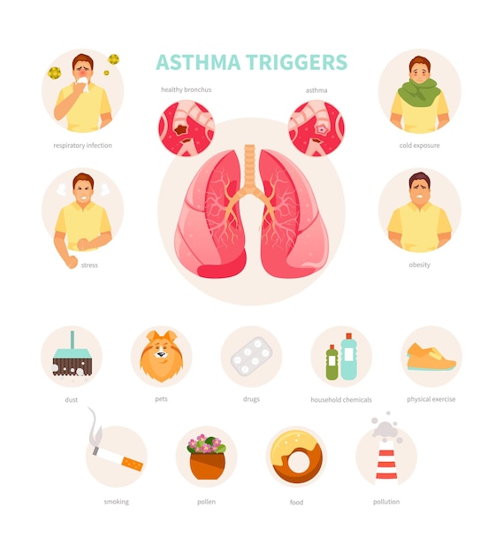 Vetor conjunto de gatilhos de asma. infográficos vetoriais médicos, pôster