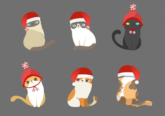 Vetor conjunto de gatos de papai noel em poses diferentes.