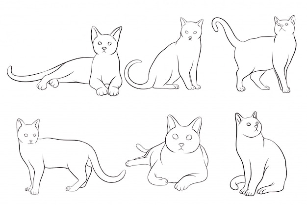 Conjunto de gatos desenhados à mão