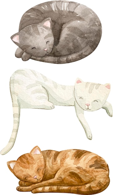 Vetor conjunto de gatos em aquarela sobre um fundo branco.