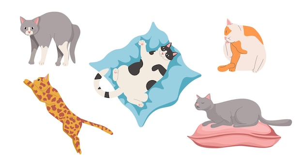 Conjunto de gatos em poses diferentes, estilo de vida engraçado dos gatinhos. bichinhos fofos dormir, sentar, pular e relaxar com tabby up, coçar a cabeça e assustado isolado no fundo branco. ilustração em vetor de desenho animado