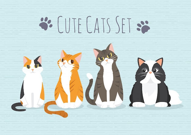 Conjunto de gatos fofos