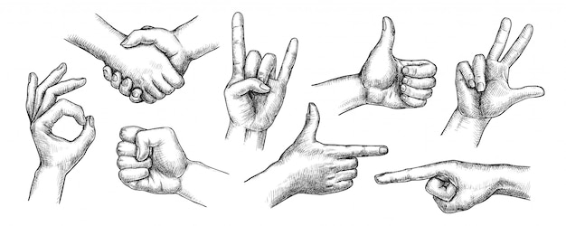 Vetor conjunto de gestos de mão. coleção de gesto de dedo humano desenhada mão plana isolada. aperto de mão, polegar para cima, punho, sinal de ok, gesto dos chifres do diabo, dedo indicador apontando comunicação desenho ilustração vetorial