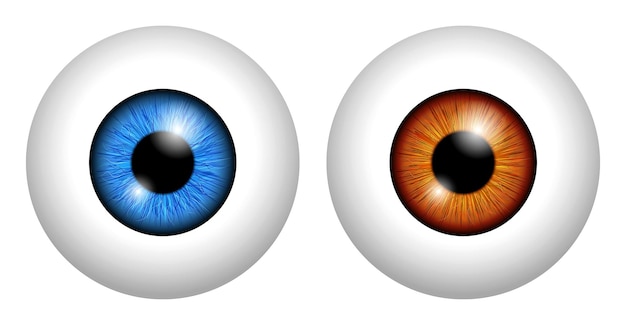 Vetor conjunto de globo ocular humano realista isolado ou fechar a retina do globo ocular humano com pupila e íris eps ve