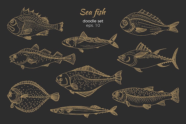 Conjunto de golden sea fish doodle vector