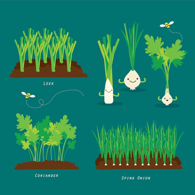 Conjunto de horta. alimentos orgânicos e saudáveis ilustração dos desenhos animados.