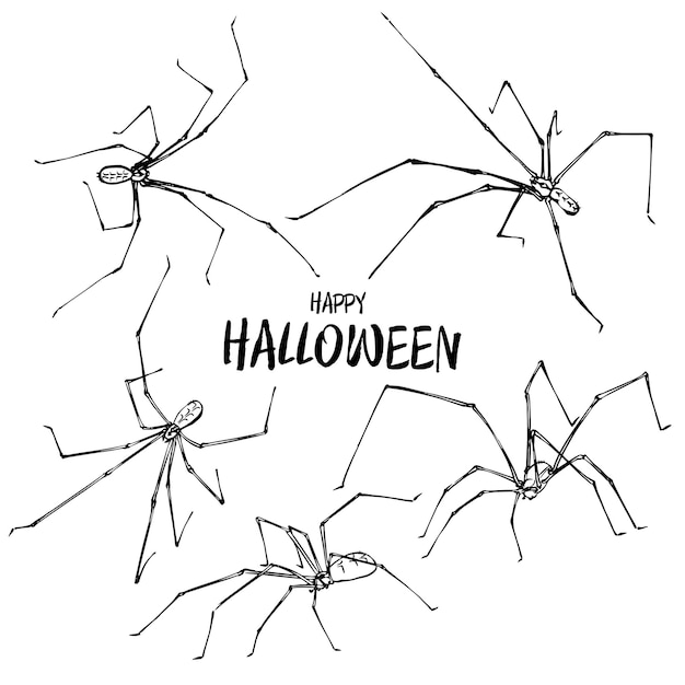 Conjunto de ícone de aranha silhueta preta isolado no fundo branco.