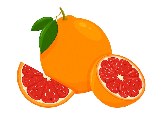 Conjunto de ícone de toranja com fatia de fruta inteira e meia com folhas ilustração vetorial isolada em estilo plano