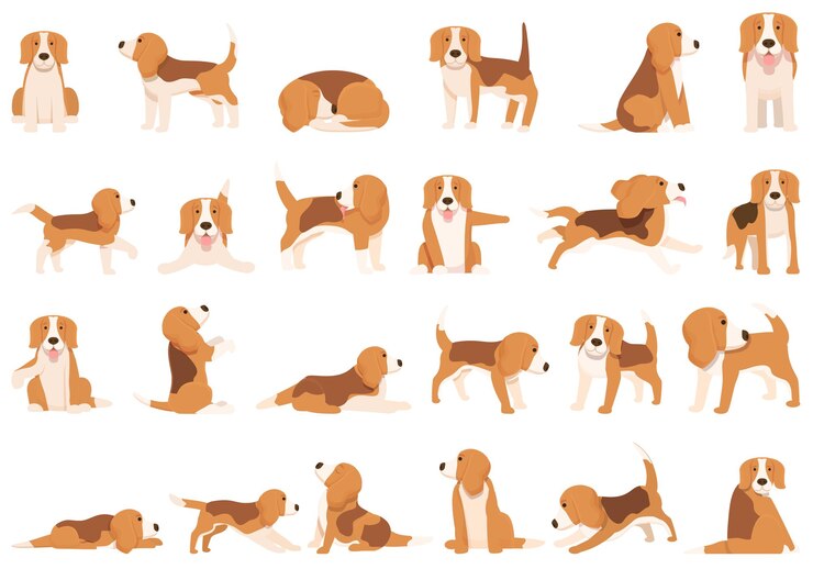 Vetor conjunto de ícones de beagle vetor de desenho animado raça de cachorro
