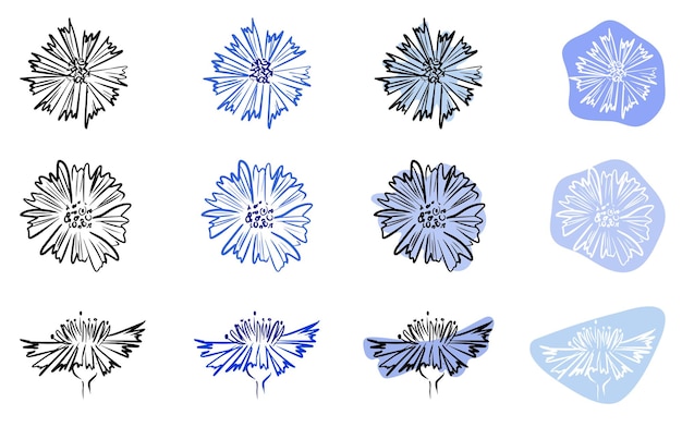 Conjunto de ícones de centáurea flores em forma abstrata em fundo branco isolado