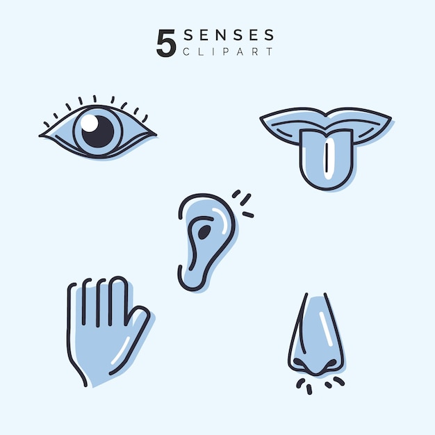 Vetor conjunto de ícones de cinco sentidos humanos
