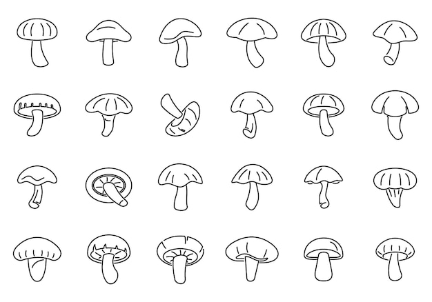 Conjunto de ícones de cogumelo shiitake vetor de esboço planta de outono