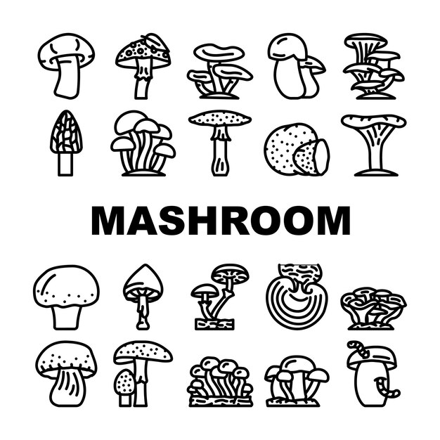Conjunto de ícones de cogumelo, vegetais e fungos