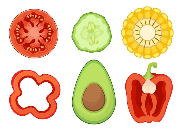 Conjunto de ícones de fatias de vegetais, tomate, pepino, milho e pimentão com abacate em metades redondas, vegetais fatiados saudáveis