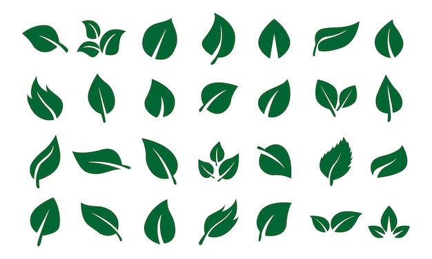 Conjunto de ícones de folha verde conjunto de ícones de folha verde cor verde folheia o logotipo do ícone de cor verde