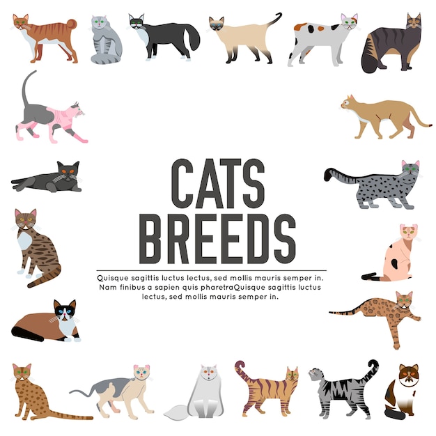 Conjunto de ícones de gatos de raça. animal de estimação fofo. layout de coleção diferente de gatinhos