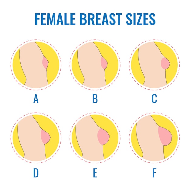 Vetores e ilustrações de Boobs para download gratuito