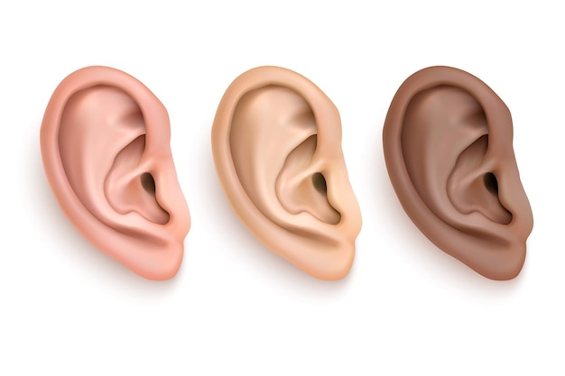 conjunto de ícones de ouvido humano realista close-up isolado