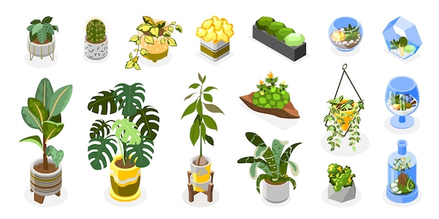 Conjunto de ícones de plantas com suculentas e plantas em ilustração vetorial isométrica de vidro