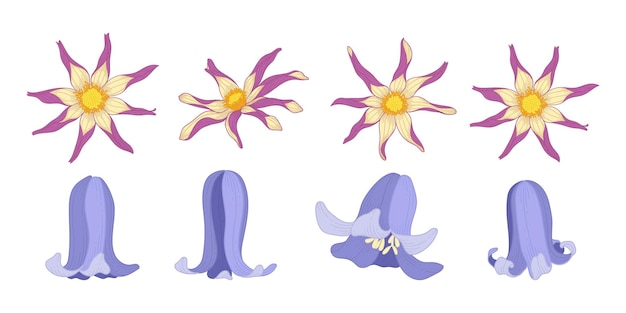 Vetor conjunto de ilustração colorida de flores desabrochando