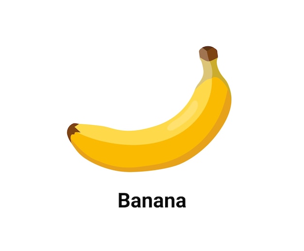 Conjunto de ilustração de banana desenho vetorial de frutas estilo desenhado à mão