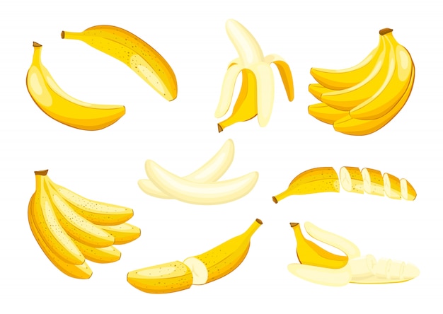 Conjunto de ilustração de banana isolado no fundo branco.