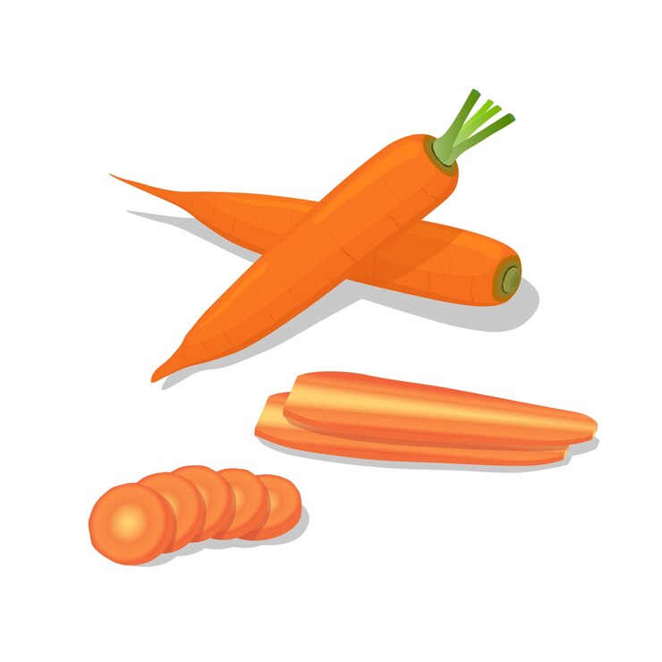 Vetor conjunto de ilustração de cenoura vetor plano cenouras inteiras fatias de cenoura vegetais de raiz