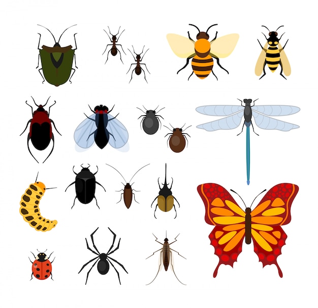 Conjunto de ilustração de diferentes tipos de insetos em ícones e. abelha, mosca e libélulas, aranhas e carrapatos, mosquitos e outros populares coleção de insetos no fundo branco.