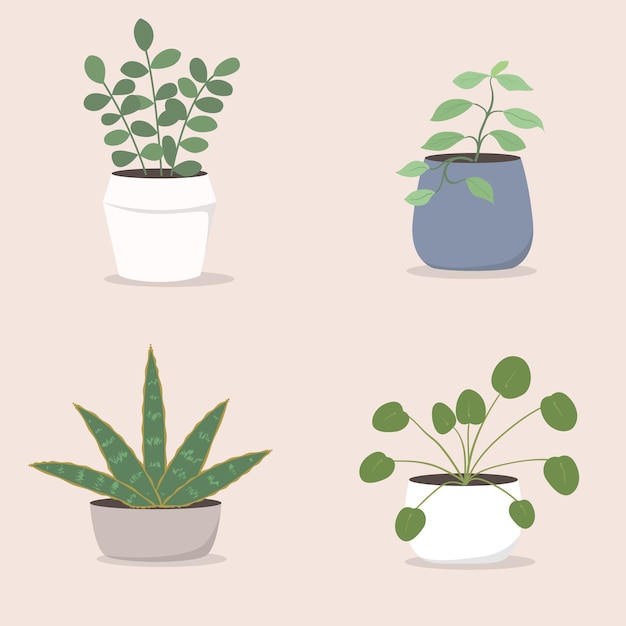 Conjunto de ilustração de planta de casa em vaso tropical