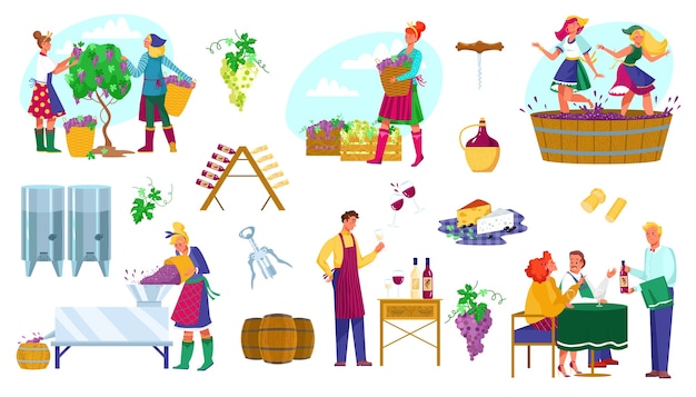 Conjunto de ilustração de produção de vinho