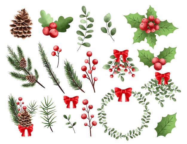 Conjunto de ilustração em aquarela de enfeites de plantas de natal