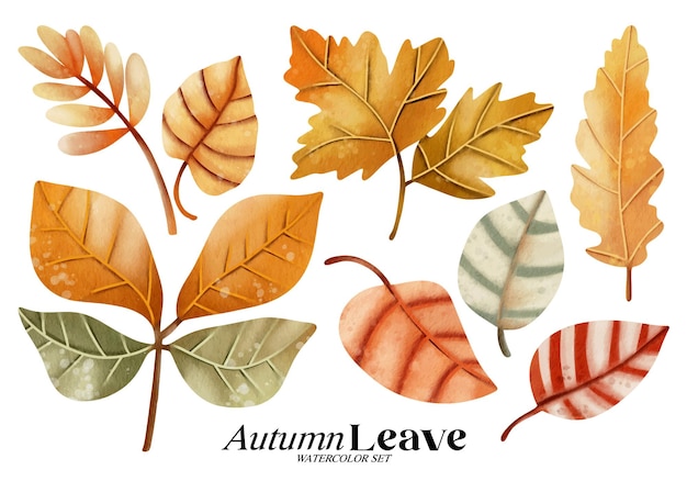 Conjunto de ilustração em aquarela de licença de outono