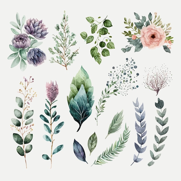 Conjunto de ilustração floral em aquarela modelo de elementos decorativos ilustração plana dos desenhos animados isolada no fundo branco