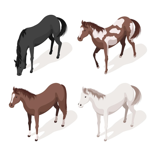 Vetor conjunto de ilustração isométrica do vetor 3d de cavalos. ícone para web. isolado em um fundo branco.