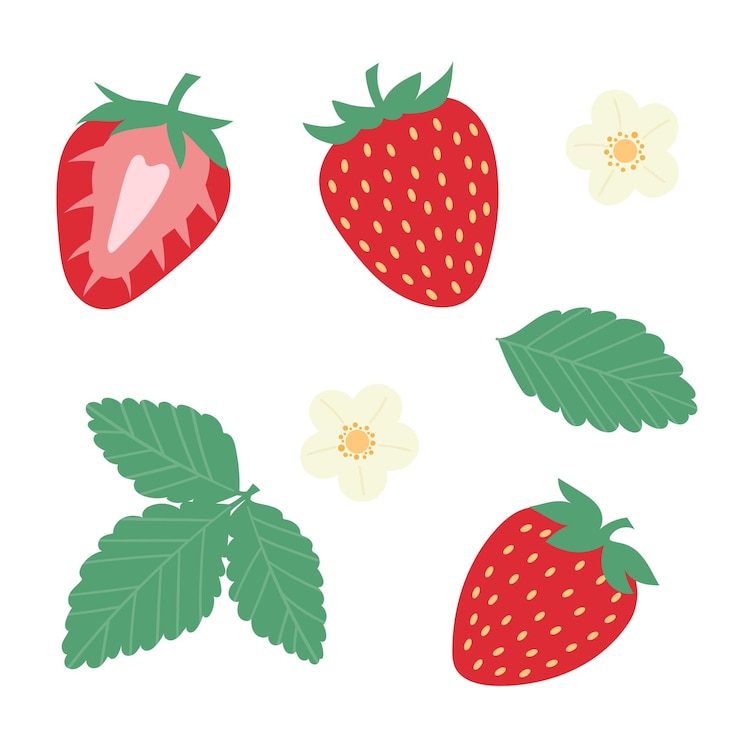 Vetor conjunto de ilustração plana de vetor de morango clipart de frutas com flores e folhas