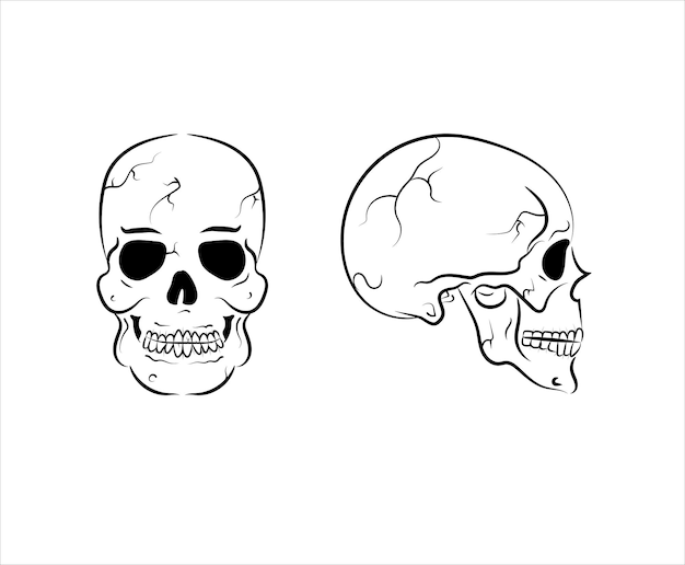 Conjunto de ilustração vetorial de coleção de caveiras