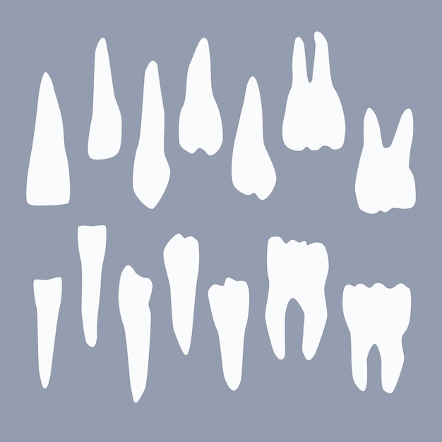 Conjunto de ilustração vetorial de dentes humanos